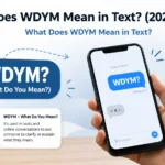 What Does WDYM Mean in Text?