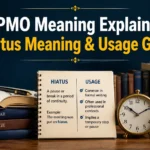 DPMO Meaning Explained