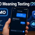 PMO Meaning Texting (2026)