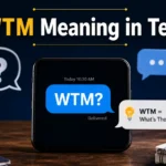 WTM Meaning in Text