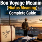 Bon Voyage Meaning (Hiatus Meaning): Complete Guide