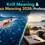 Krill Meaning & Hiatus Meaning