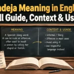 Pendeja Meaning in English: Full Guide, Context & Usage