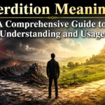 Perdition Meaning: A Comprehensive Guide to Understanding and Usage