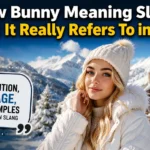 Snow Bunny Meaning Slang: What It Really Refers