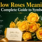 Yellow Roses Meaning: The Complete Guide to Symbolism