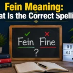 Fein Meaning: What Is the Correct Spelling?